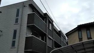 ティルタ アユの画像