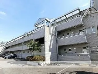 エバーグレースの画像