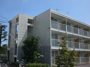 レオパレス富士見Ⅱ【2階】の外観