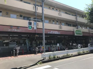 レオパレスMARTHA【1階】の周辺