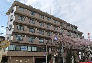 日神パレステージ亀有の画像