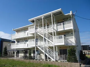 レオネクストフィオーレの画像