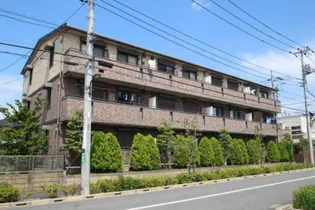 エスペランサの画像