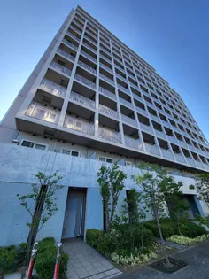 エコロジー東陽町プロセンチュリー【12階】の外観