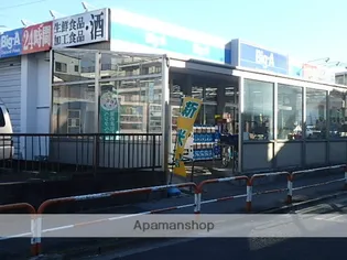 フィユフラッツ西綾瀬コートヤード【3階】の周辺