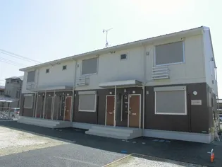 シン オオヌキソウの画像