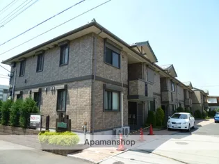 Yーグレースの画像