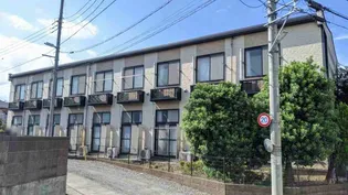 レオパレスピーヌスの画像