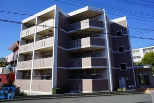 セレッソの画像