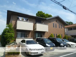 プルミエルの画像