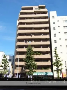 シルバープラザ白山【7階】の外観