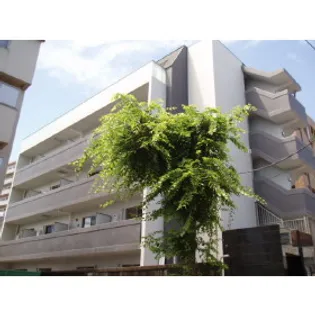 アーバンハウス本橋B【4階】の外観