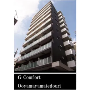 G・コンフォート大山山手通り【10階】の外観