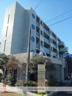 ノーベルコートの画像