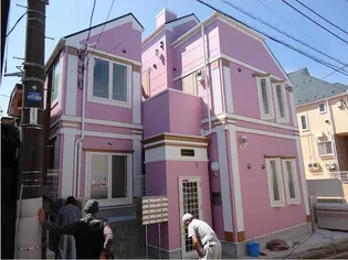 プラムフェリスの画像