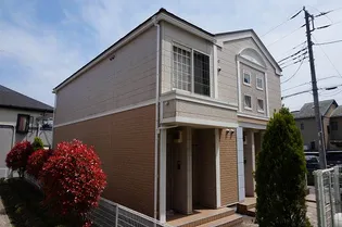 グレイスフルIIの画像