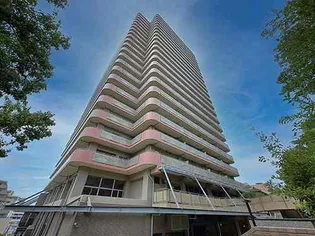 ライオンズステーションタワー松戸の画像