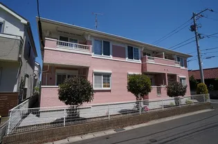 フィオーレYの画像