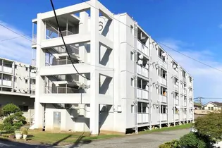 ビレッジハウス栗ヶ沢6号棟【4階】の外観