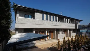 プリムラIIの画像