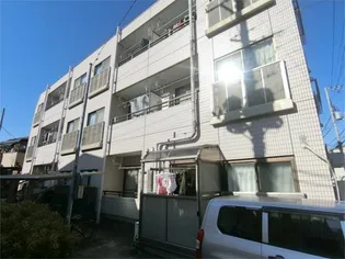 パインニードルの画像