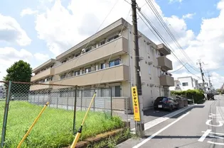 シャルマンの画像