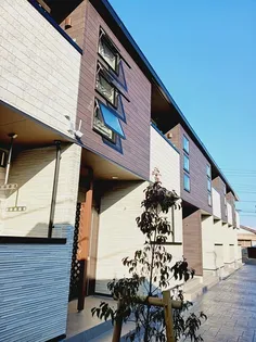 プリモの画像