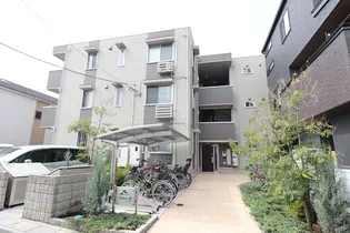 ルピナスVIIの画像