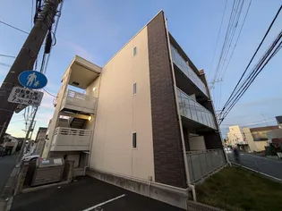 レオネクストラベンダーの画像