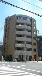 セトルオクサワの画像