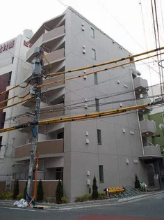 ビオレッテ山吹の画像