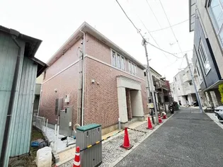 ヘリクリサムの画像