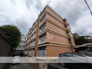 東京都杉並区桃井1丁目【マンション】の外観