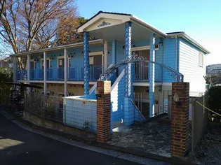 レオネクストアナスタシア【2階】の外観