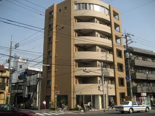 セトルオクサワの画像