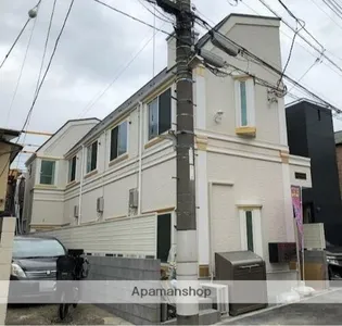 フェリスコットンの画像