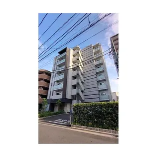 マーシスマルルの画像