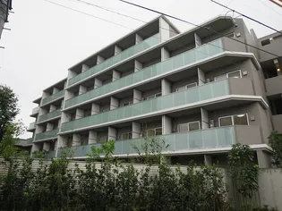 HY'S VIGOR 墨田の画像