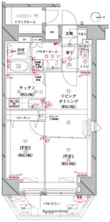 レアライズ入谷【9階】の間取り