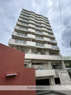 上十条ダイヤモンドマンション【11階】の外観