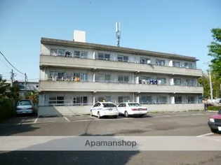 ハイネス大沢の画像