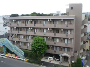 エクセリア上野毛【2階】の外観