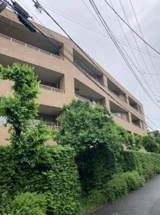 ハイコート浜田山壱丁目【1階】の外観