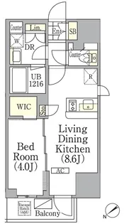 ジオエント池袋【13階】の間取り
