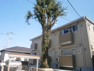 ゼルコヴァ北野【2階】の外観