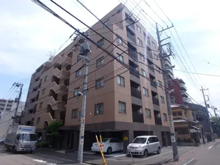 AYASEの画像
