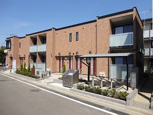 レオネクスト光の画像