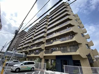 ツイン コートの画像