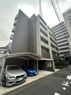 AMISTAD Y&Yの画像