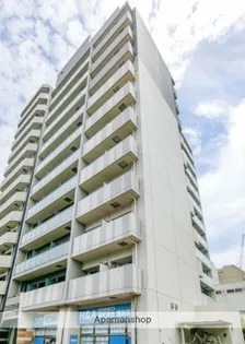 アルテシモレガの画像